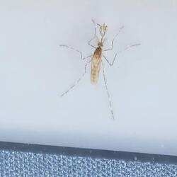 Erste Besucher sind schon da....