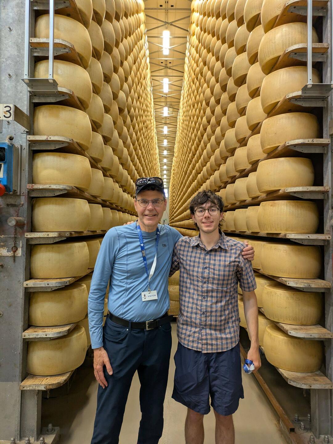 Parmasene cheese wheels 33000