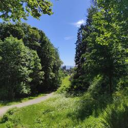 Die Löwenburg.....