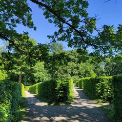 Der "Irrgarten"