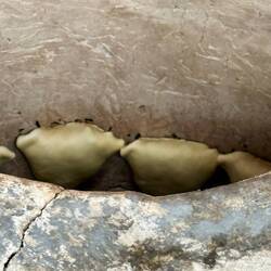 Samsa are stuck to the side of the hot clay tandoori oven to cook