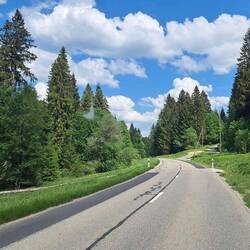 Kurz nach Saignélegier, kurz vor l'Etang de la Gruèrs. So richtig Jura