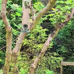 Activity at the bird feeder