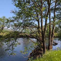 River Dochart