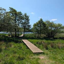Over bog