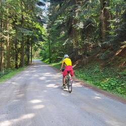 Weite Strecken geht es unbefestigt durch den Wald.