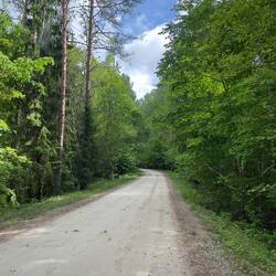 Zufahrt zum Campingplatz, 5 km Sandpiste
