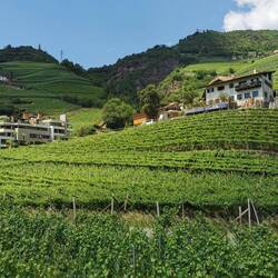 Bei Bozen