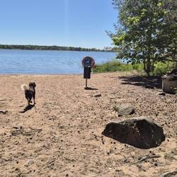 Auch für die 🐕 ein extra Badestrand.