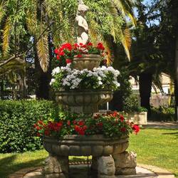 Hotel garden