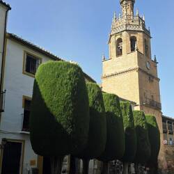 Old Town Ronda