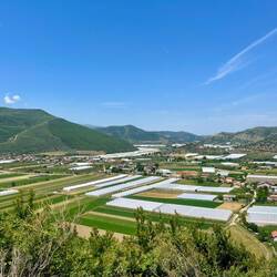 Tout comme l'agriculture et les serres de tomates