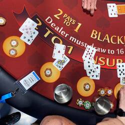 Es gab auch eine "Casino Night" wo wir 500$ Spielgeld als Start Guthaben hatten.