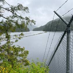 Link River