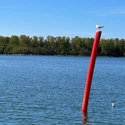 Finnisches Topzeichen