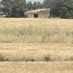 Another old stone building in a hay field