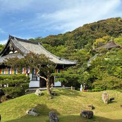 Kodaiji Temple