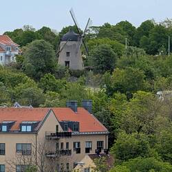 The windmills make an interesting view