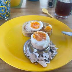 Tagesstart optimal: das Frühstücksei ist perfekt