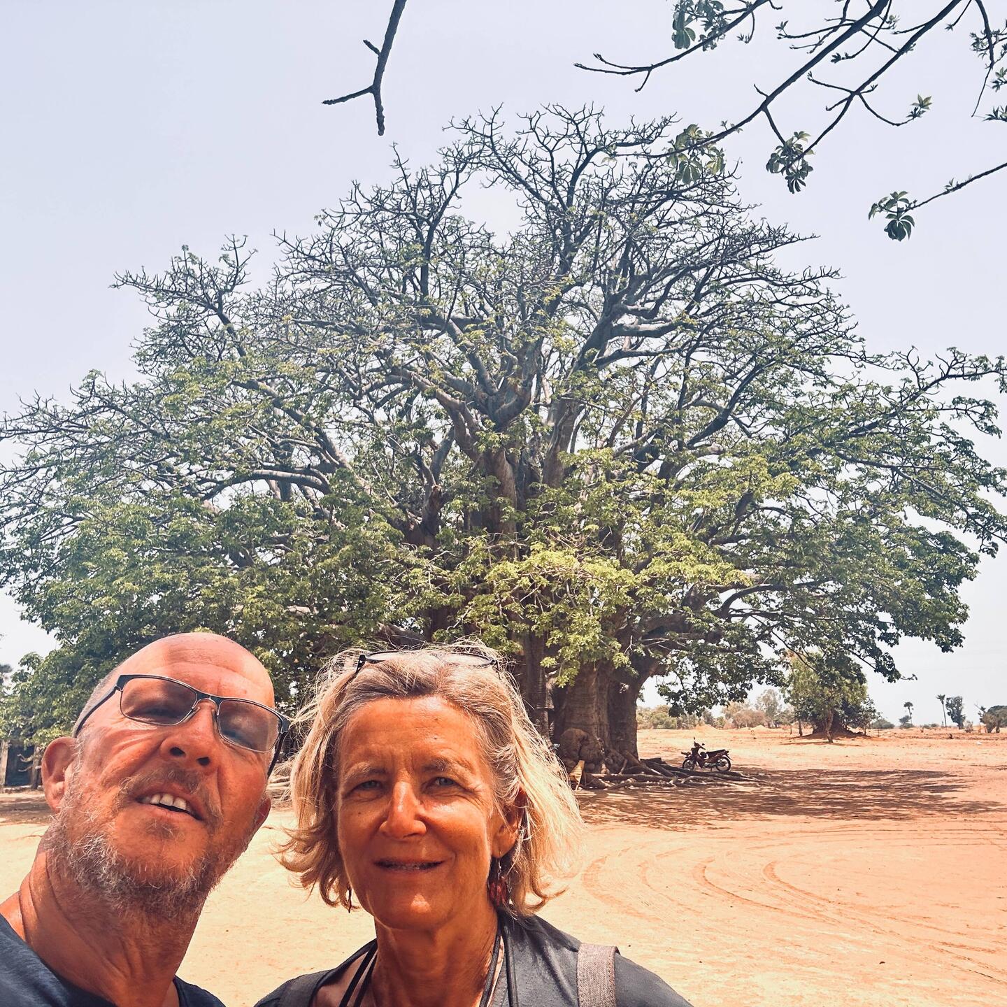 Baobab Cathedral