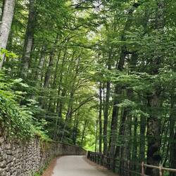 Starting the walk down to Chiusi della Verna