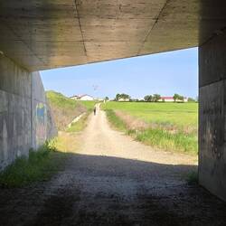 On the trail