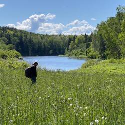 Über diese Wiese sind wir Richtung Gauja gewandert.
