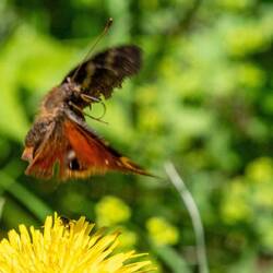 ... und Abflug!
