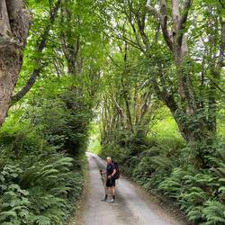 Walking through the country lanes outside Bude