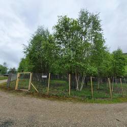 camping von letzter nacht - dogpark🥰