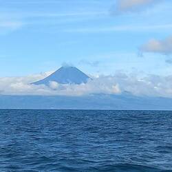 Monte PICO