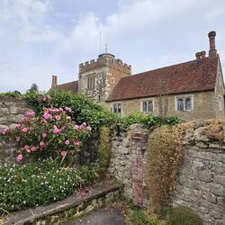 Im Walled Garden...