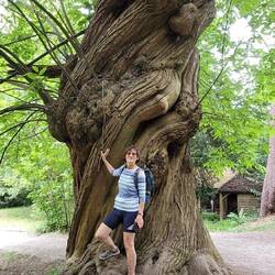 ...in den Baum gemacht 🧐?