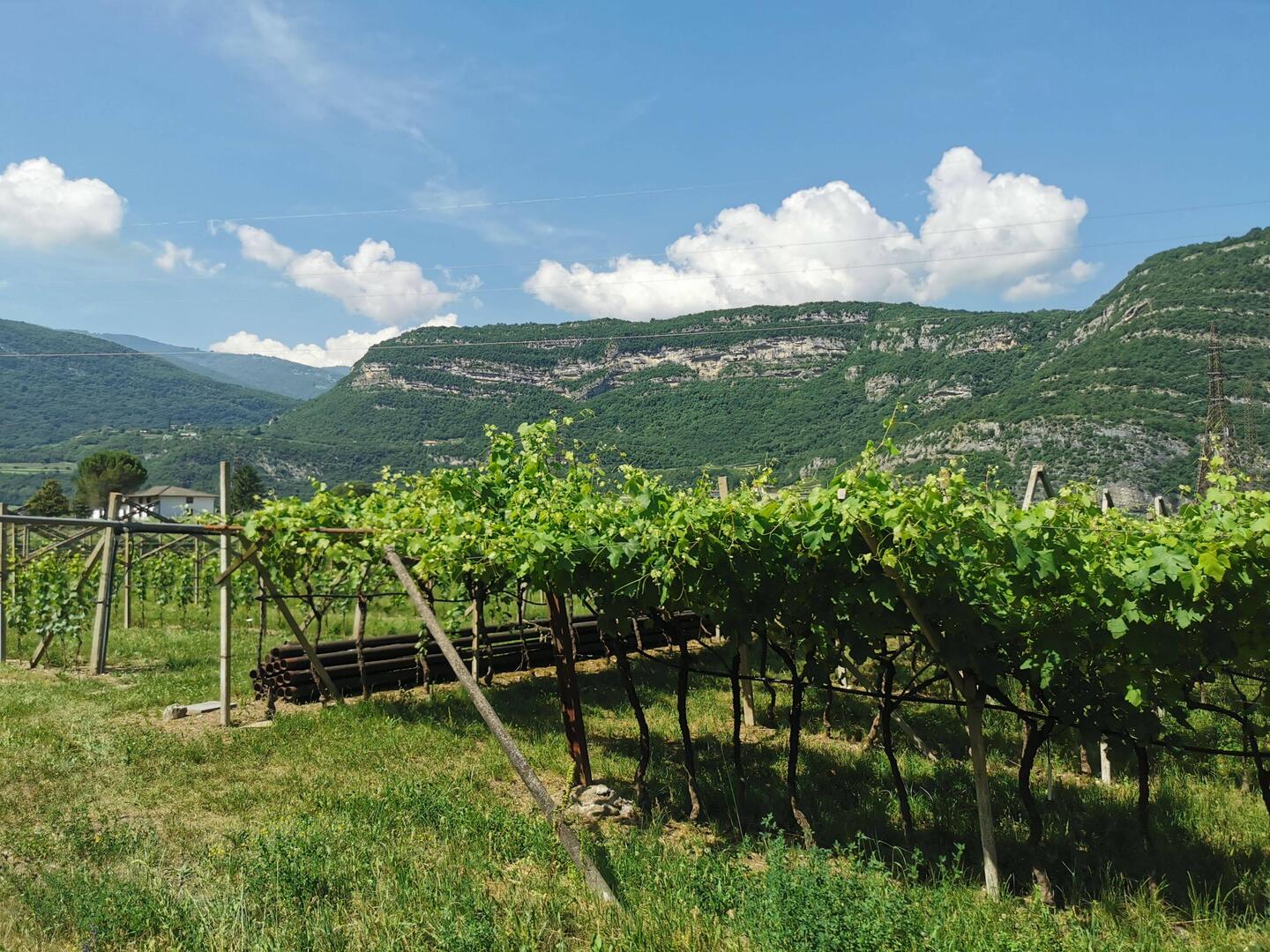 Hinter den Bergen ist der Gardasee