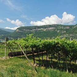 Hinter den Bergen ist der Gardasee