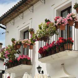Grazalema