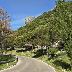 The air is wonderful riding through these fragrant forests.