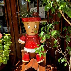 Saw a few of these fun planters in resident's windows.