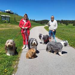 Wir treffen gleich ein paar preisgekrönte Vierbeiner.