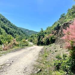 Superbe montée avec une végétation multicolore