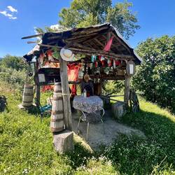 Absolument irréel de trouver un bar comme celui-ci en pleine montagne