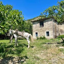Il y a de la vie dans ces montagnes reculées