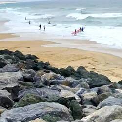 die bekannten Surfstränden südlich von Hossegor