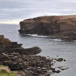 Die schottischen Klippen auf Orkney' s Mainland
