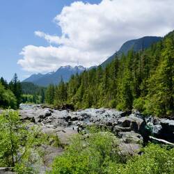 Kennedy river