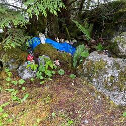 Fairy village. Along the road between Ocean Falls and Martin Valley.