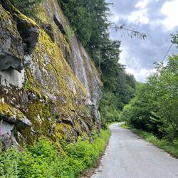 Just to show the steep rock face along the road between Ocean Falls and Martin Valley.