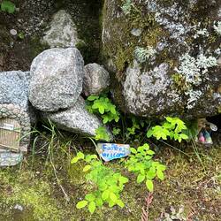 Fairy Village