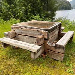 Solid picknic table between Ocean Falls and Martin Valley.