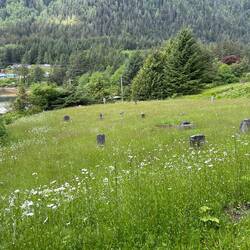 Ocean Falls Cemetery in Martin Valley.